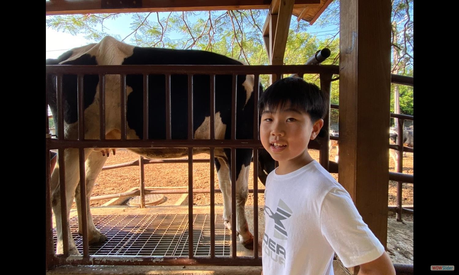 goToFarm (3)