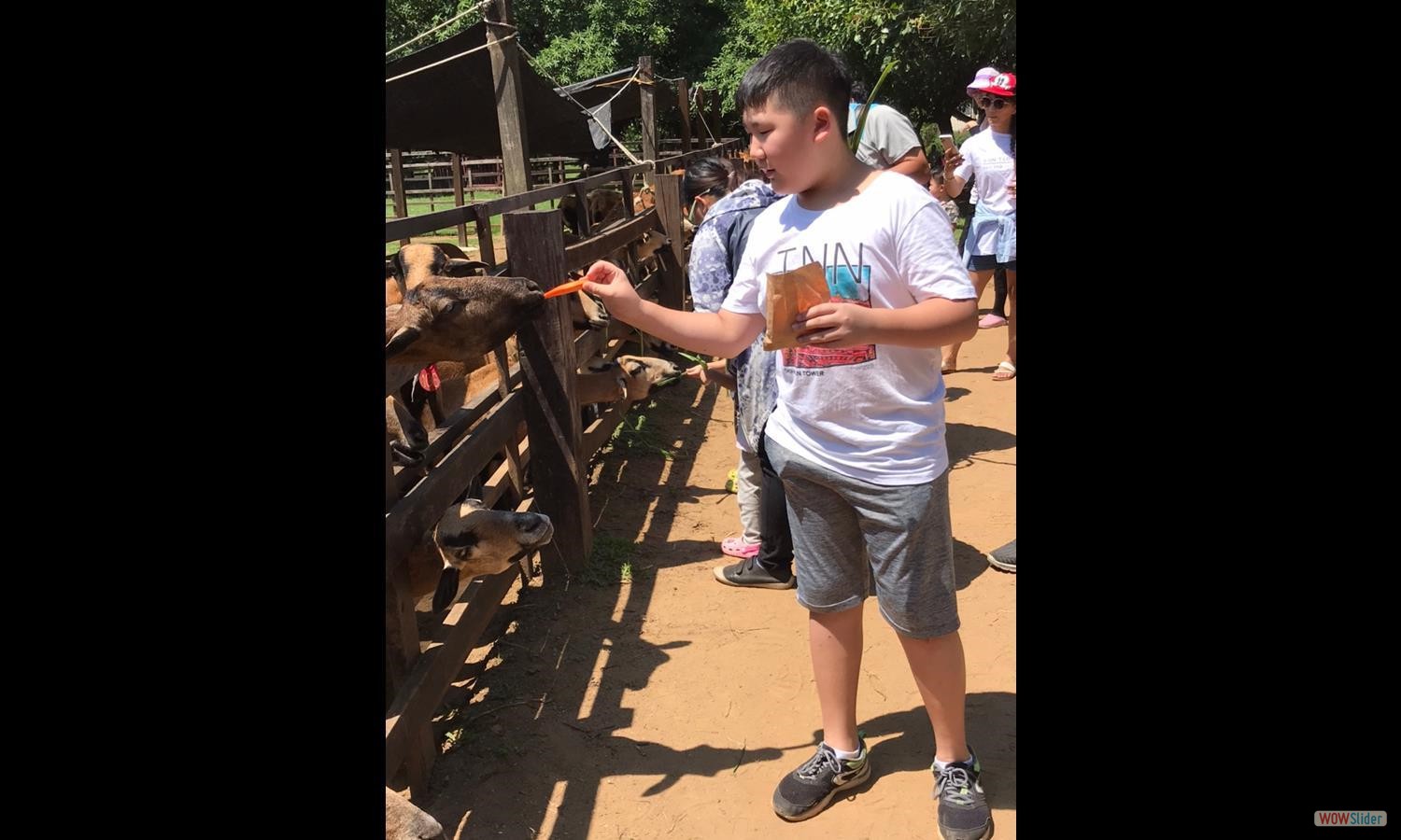 goToFarm (30)