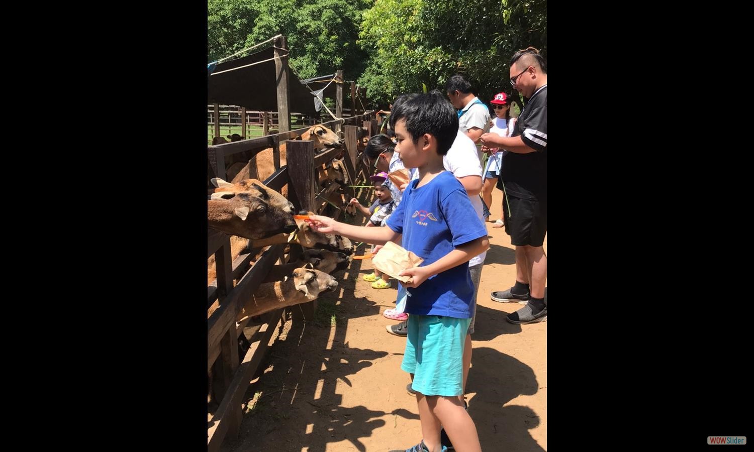 goToFarm (31)