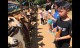 goToFarm (1)