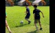 goToFarm (11)