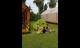 goToFarm (28)