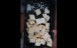 marshmello (5)